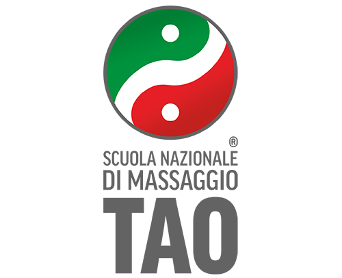 logo consulenza Tao Group - sito personalizzato multidominio e seo
